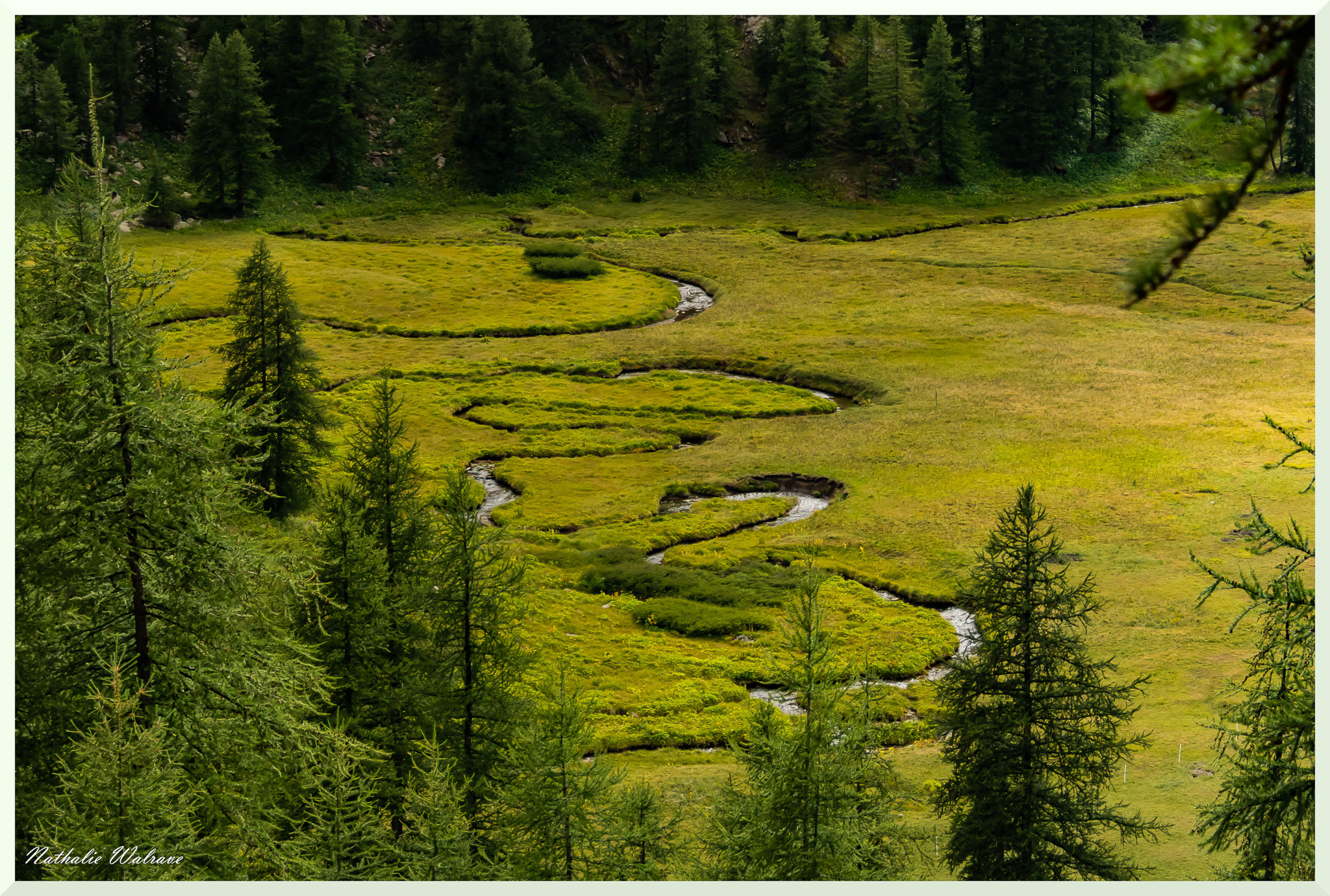 le lac d'Allos