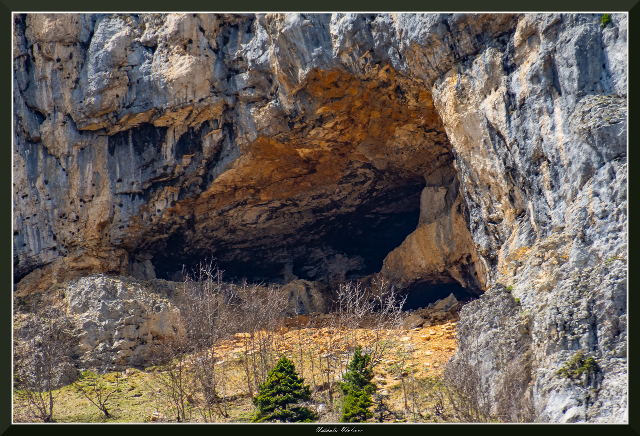 bouquetin