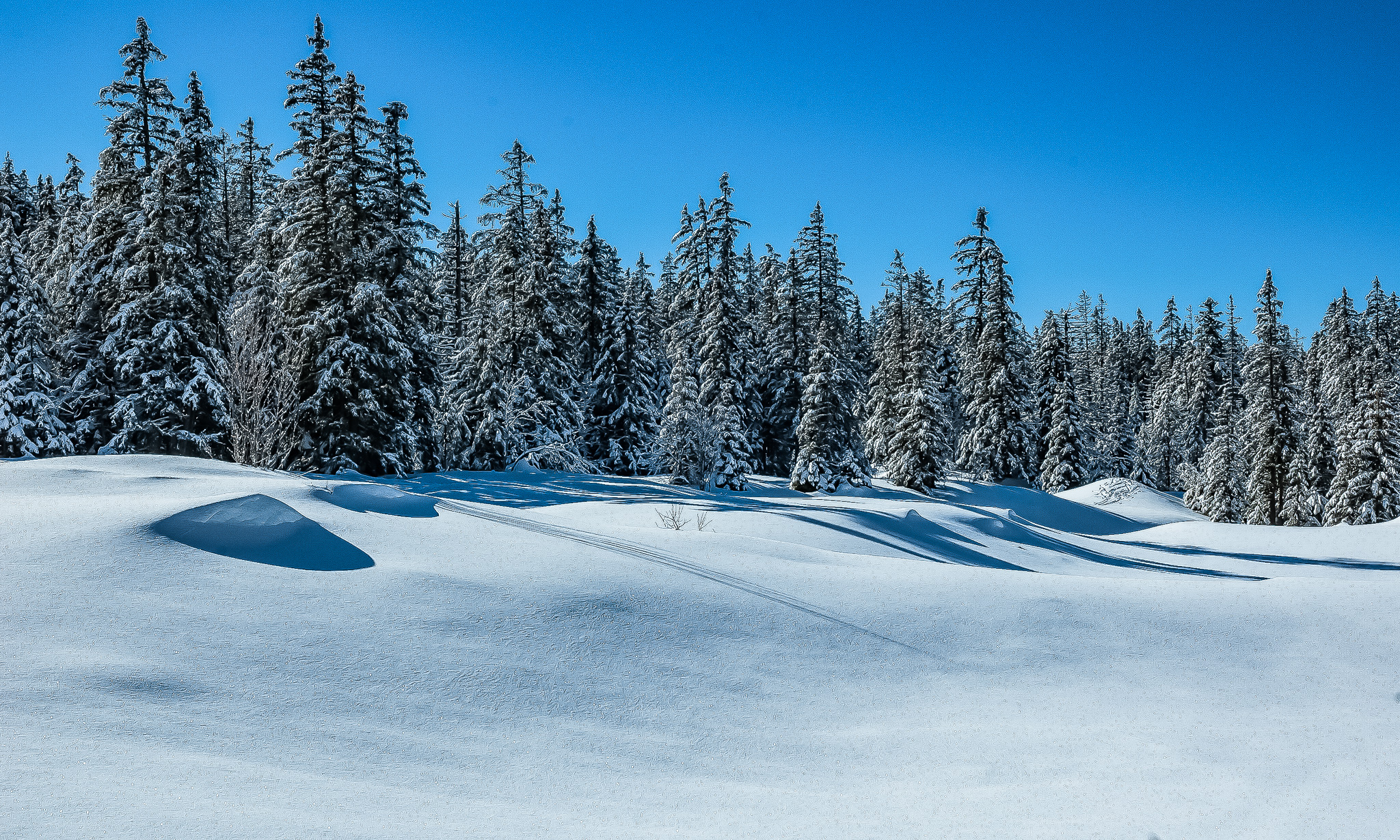 paysage enneigé