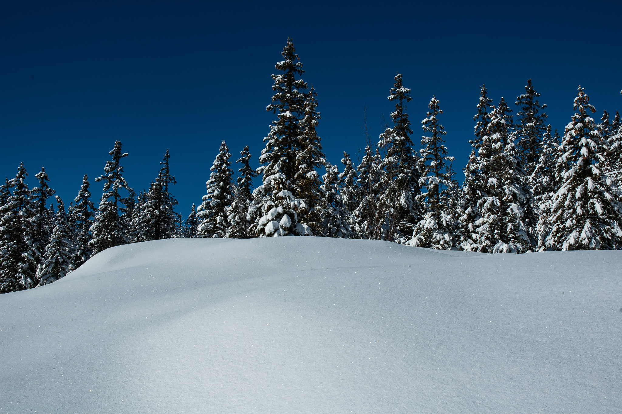 paysage enneigé