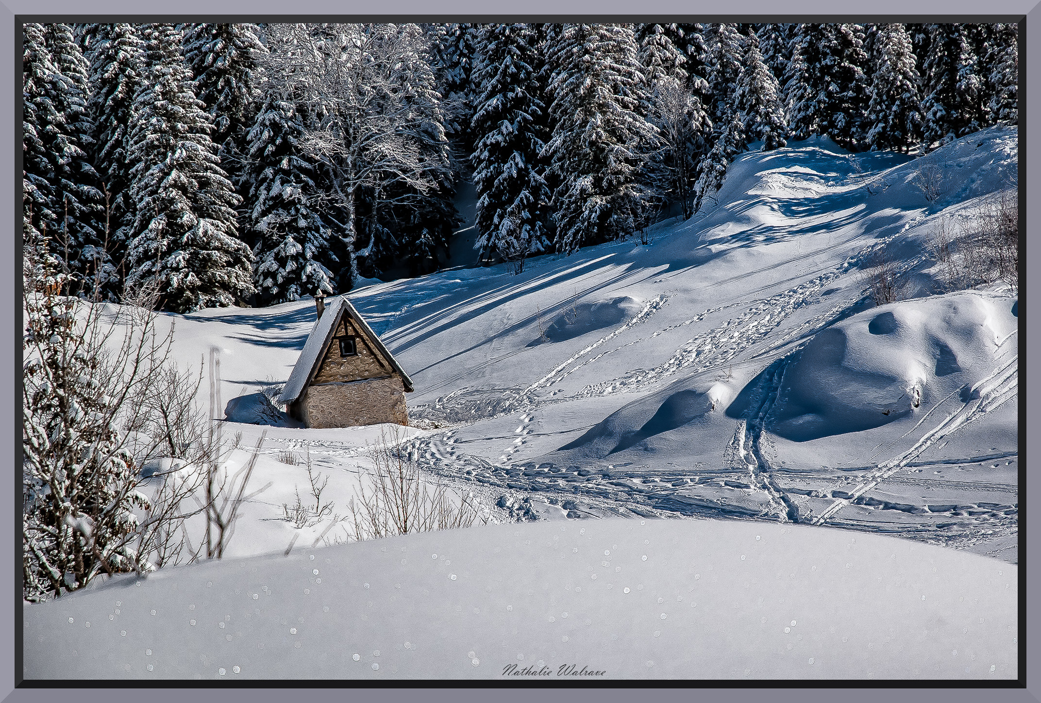 paysage enneigé