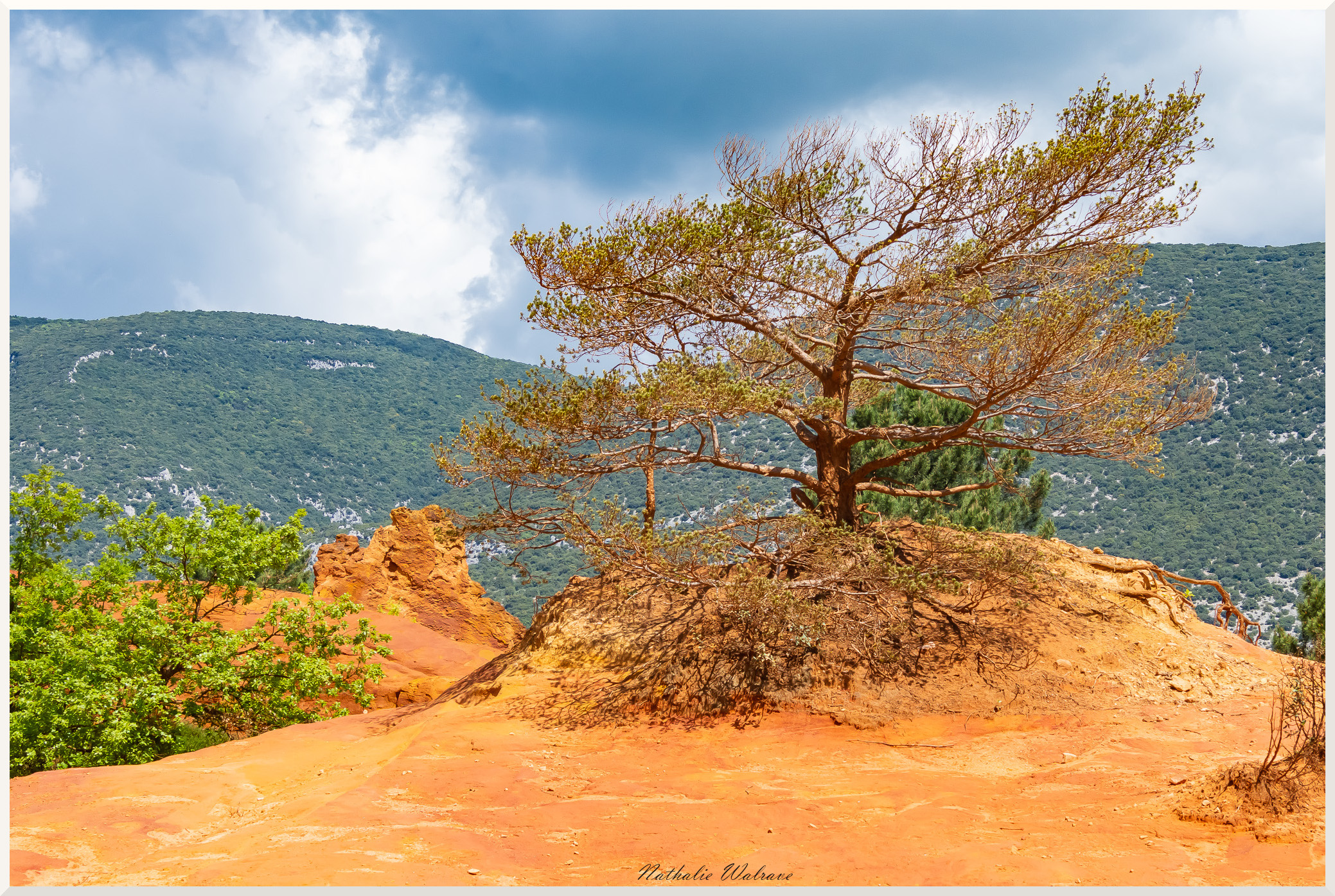 photo du Colorado Provencal et ses terres ocres