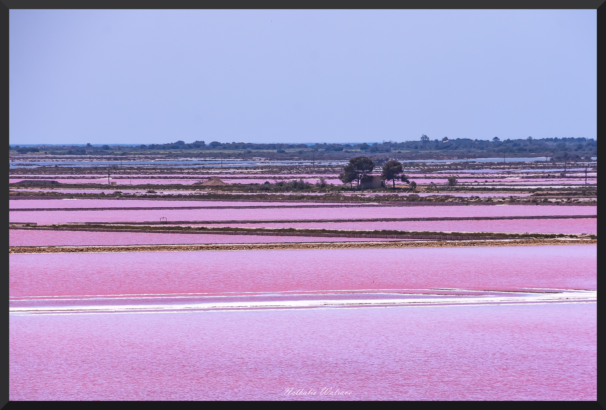 marais salants rose