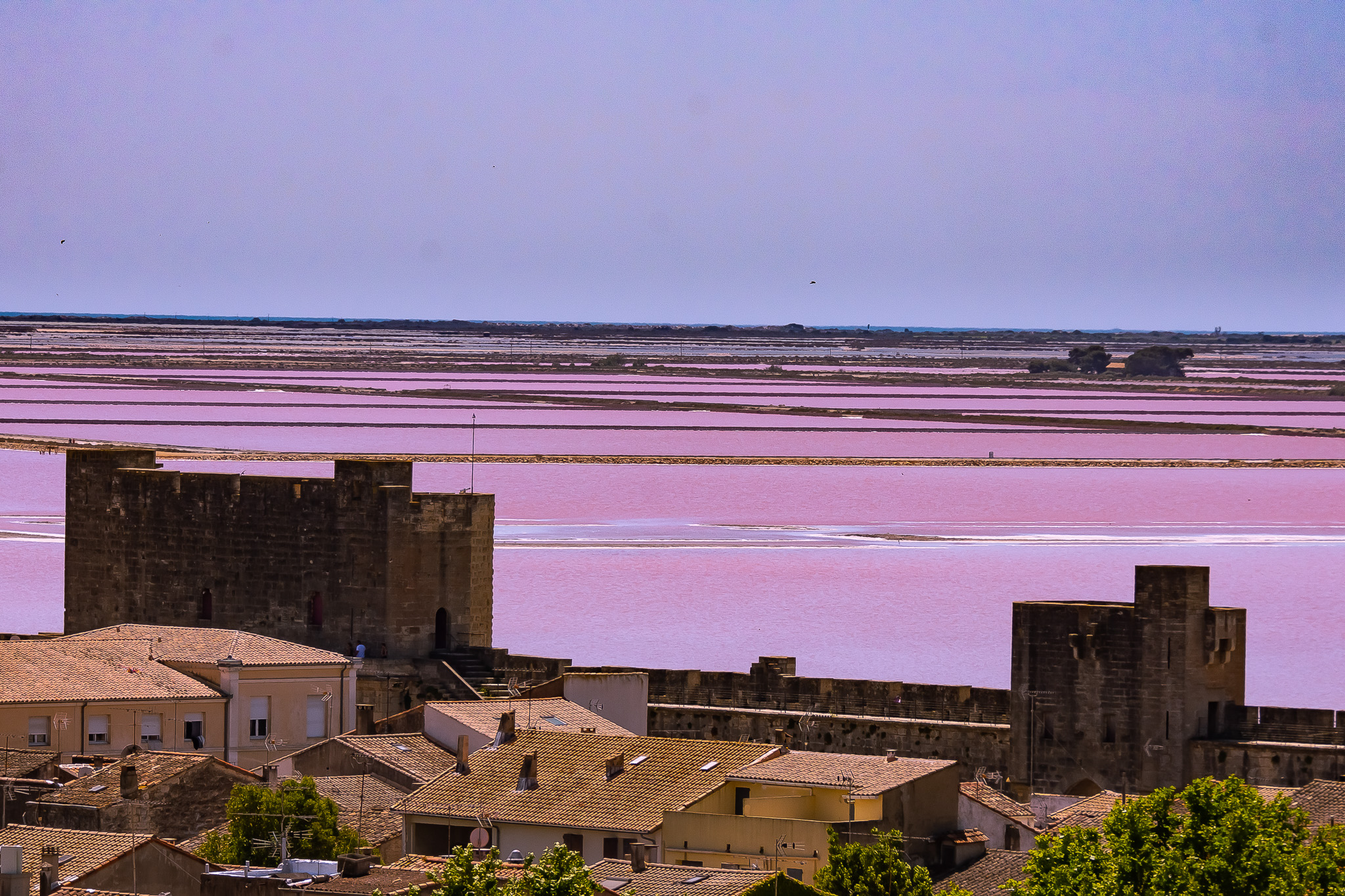 marais salants rose