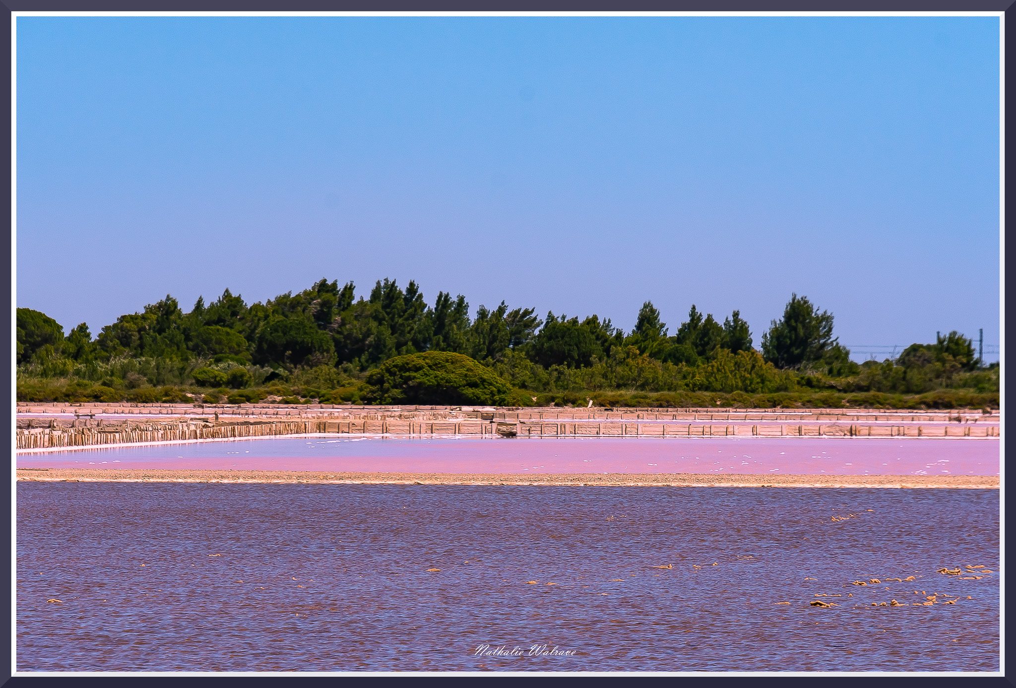 marais salants rose