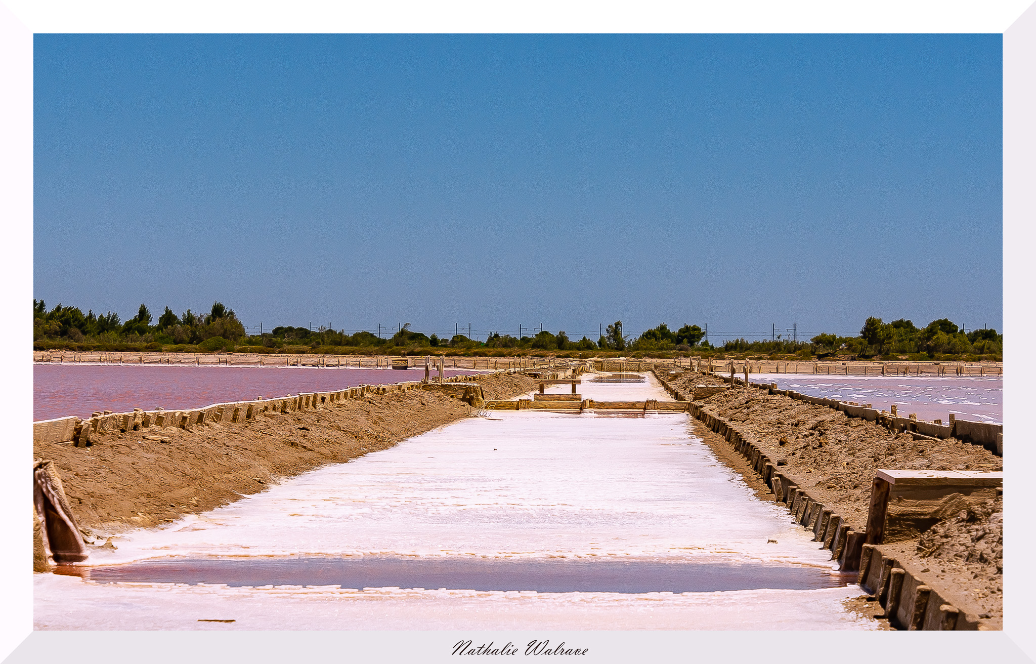 marais salants rose