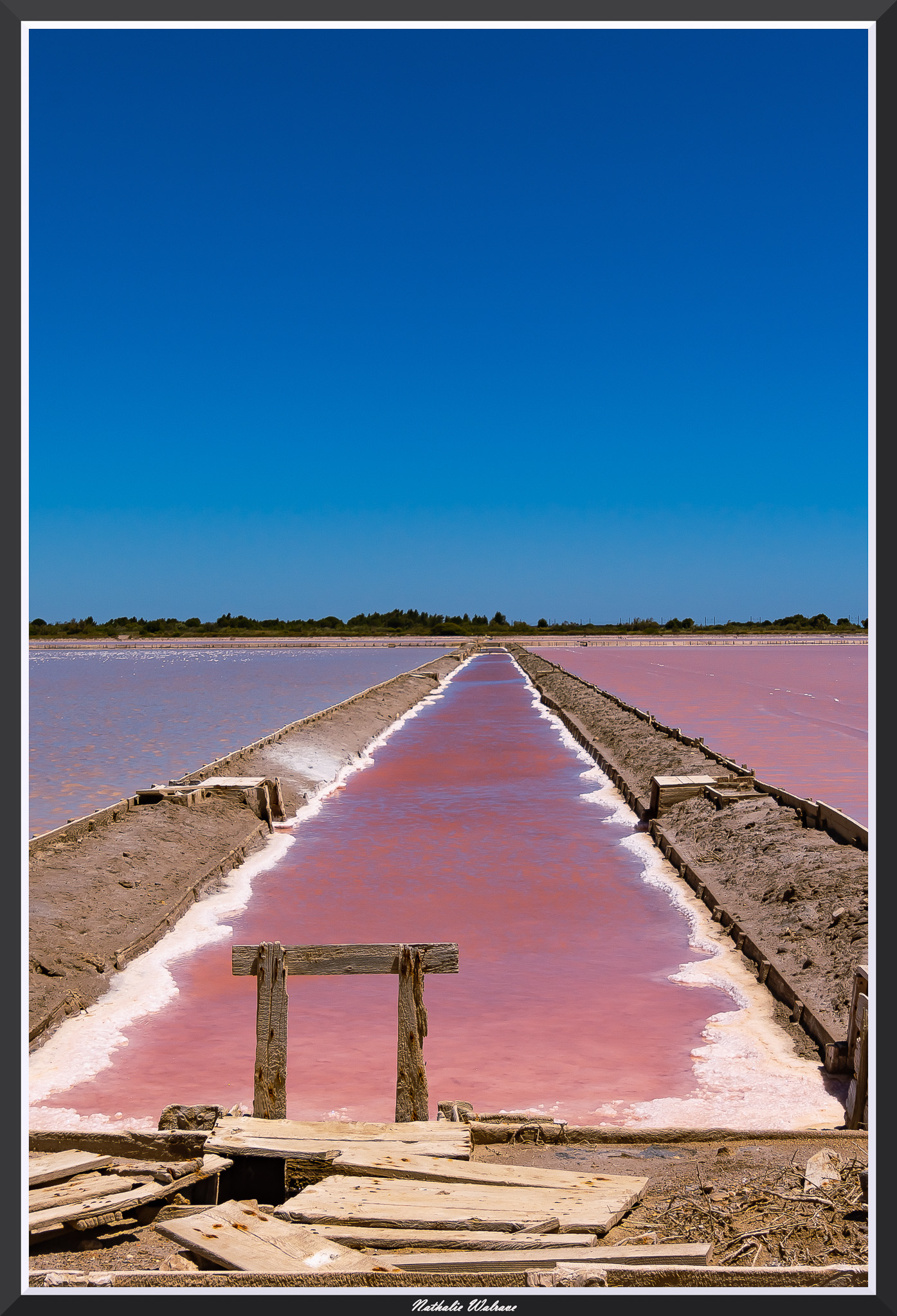 Marais salants de Camargue